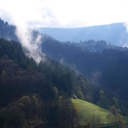 Buehlbauernhof Villa Bad Peterstal-Griesbach Bagian luar foto