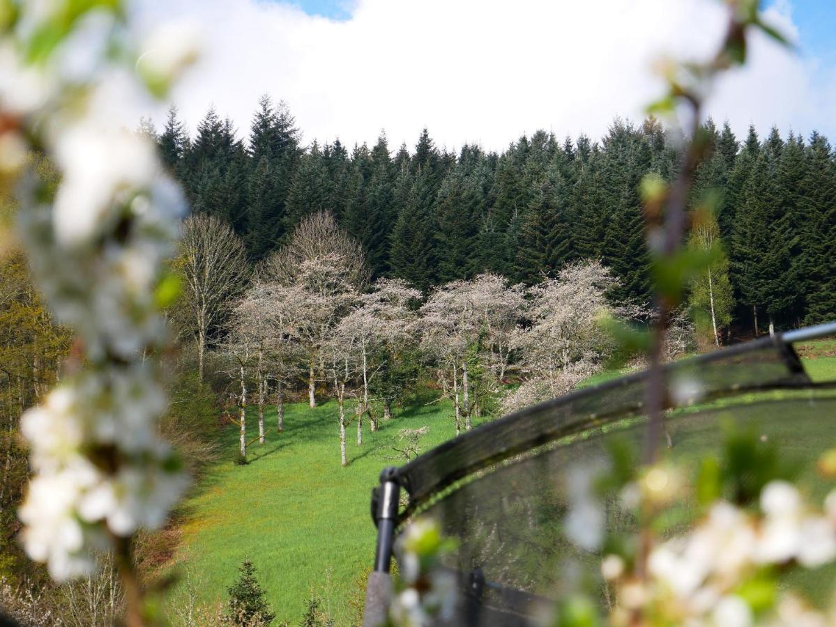 Buehlbauernhof Villa Bad Peterstal-Griesbach Bagian luar foto