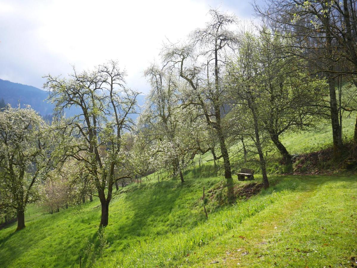 Buehlbauernhof Villa Bad Peterstal-Griesbach Bagian luar foto