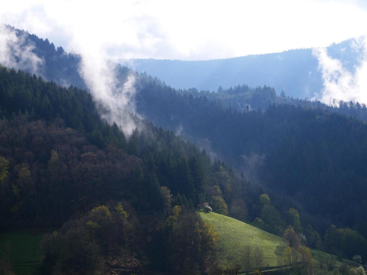 Buehlbauernhof Villa Bad Peterstal-Griesbach Bagian luar foto